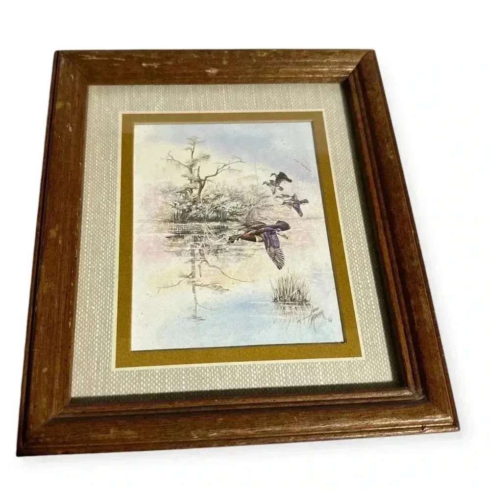 Vintage Framed Duck Nature Prints Set /2 Rustic Wooden Frames Wildlife Art Decor - Picture 2 of 6